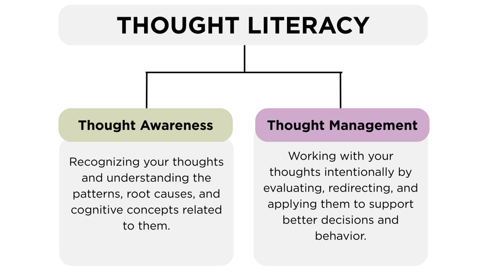 An flow chart of the two pillars of thought literacy under the title "thought literacy"